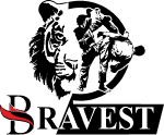 Текстильная компания BRAVEST Group